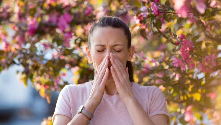 ACAROS EN AUMENTO. Con la llegada de la primavera “explotan” las alergias en el territorio santafesino.