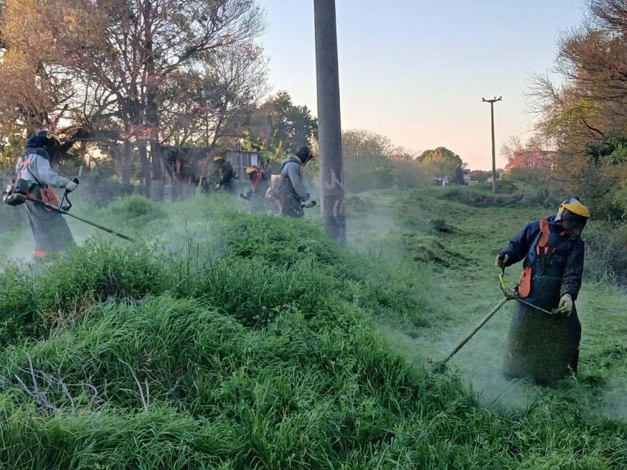 Estas acciones ayudan a mantener la ciudad segura.