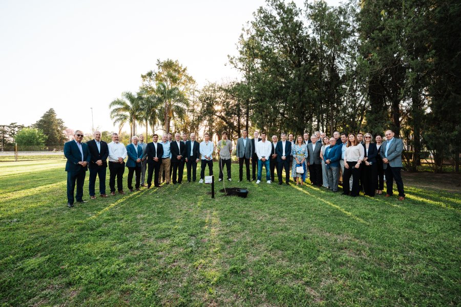Tras la plantación del ejemplar una imagen documentando el momento.