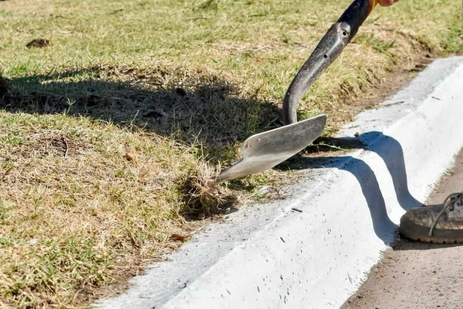 MEJORAS. Las intervenciones incluyeron limpieza de cordones y canteros, retiro de elementos acumulados en las dársenas y mantenimiento general de los sectores.