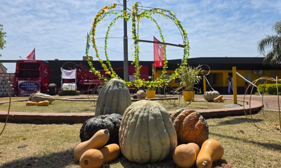 Fiesta Nacional del Zapallo, un ícono ceresino.