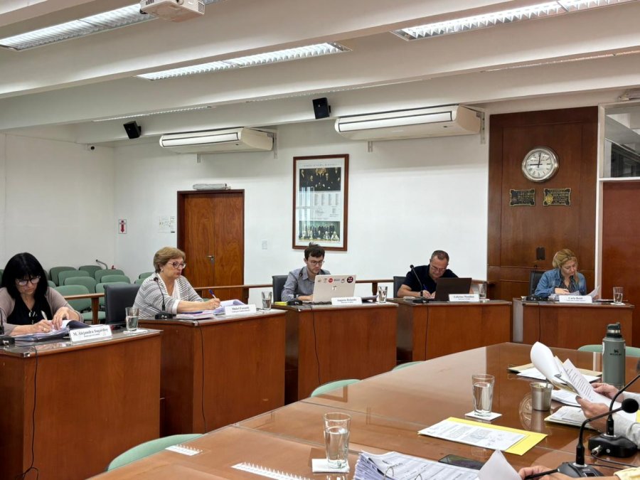 Los concejales del oficialismo impulsan cambios en el BOT Rafi. (PRENSA CONCEJO)