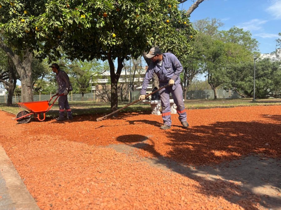 AVANCES. De a poco, la plaza más grande e importante de la ciudad va recuperando su esplendor histórico y cultural.