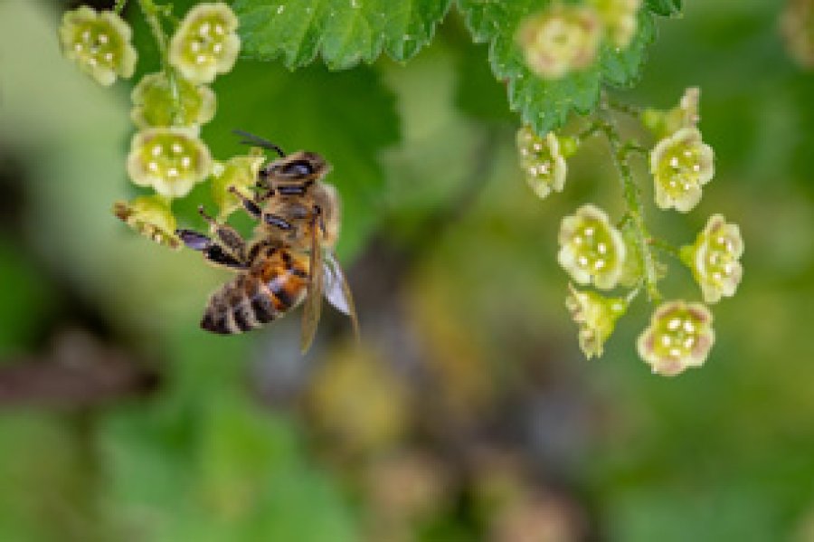 un encendido mensaje de Perón en 1972 en Madrid propició la creación de la efeméride.