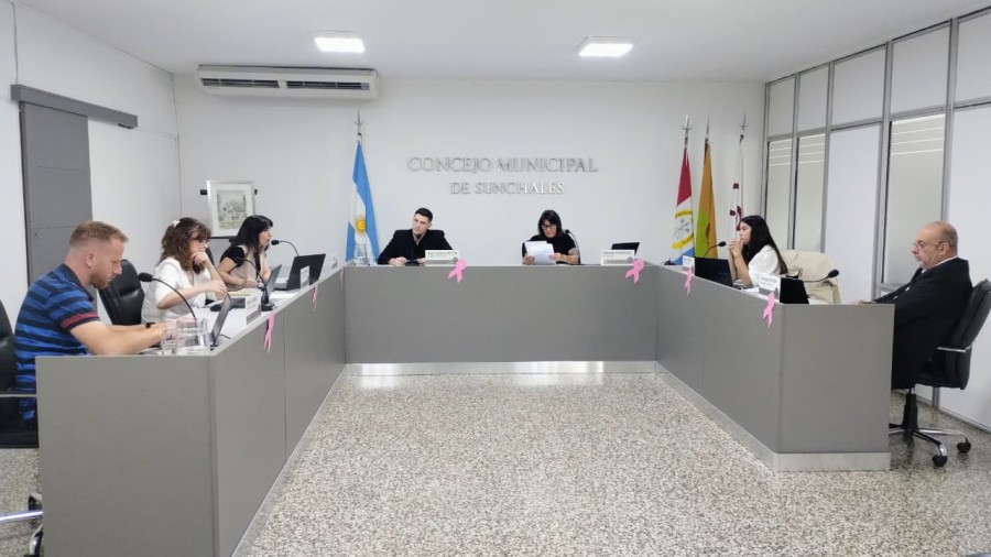 Vista de la sesión de esta mañana.