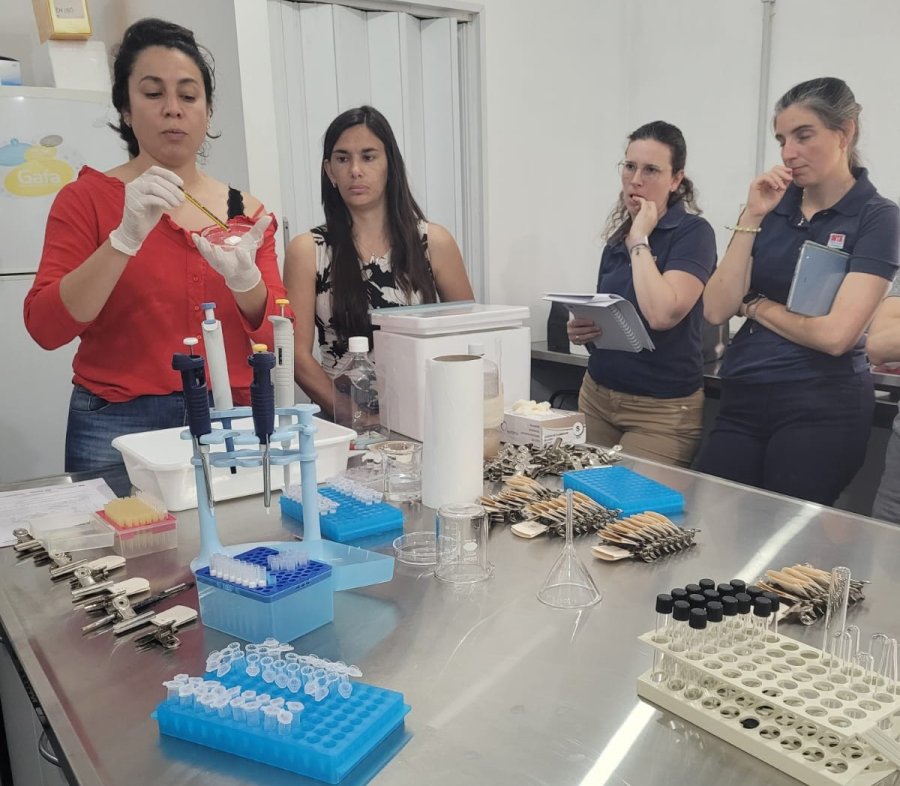 Más de 25 representantes de laboratorios y técnicos del SENASA participaron del Taller en la sede del INTA Rafaela.