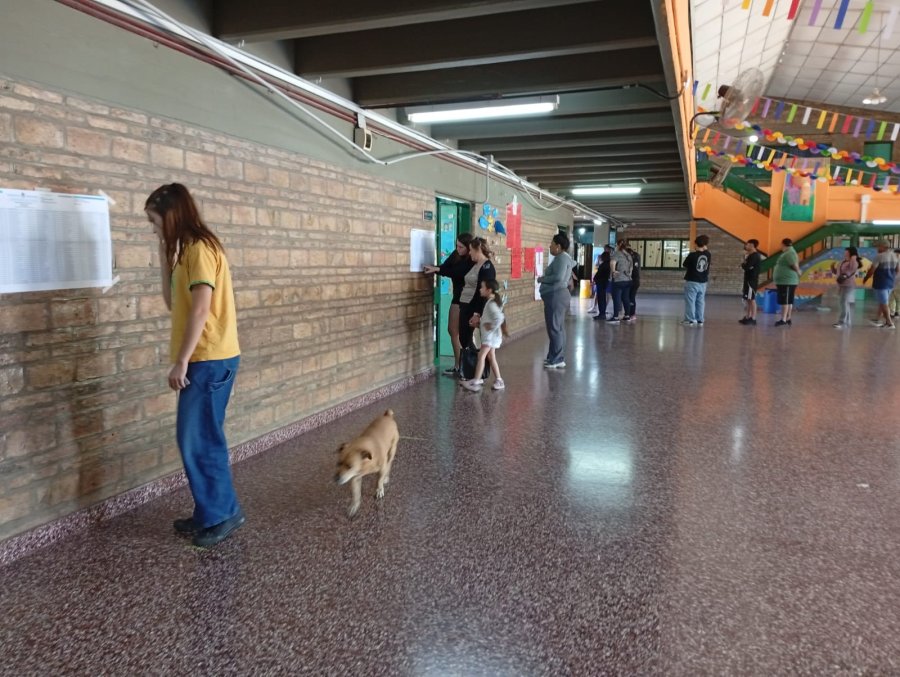 Una votante observa las planillas del padrón de cada mesa en la Escuela Lisandro de la Torre de Rafaela.