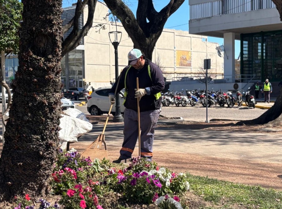 Cuidado y mantenimiento de los espacios verdes.