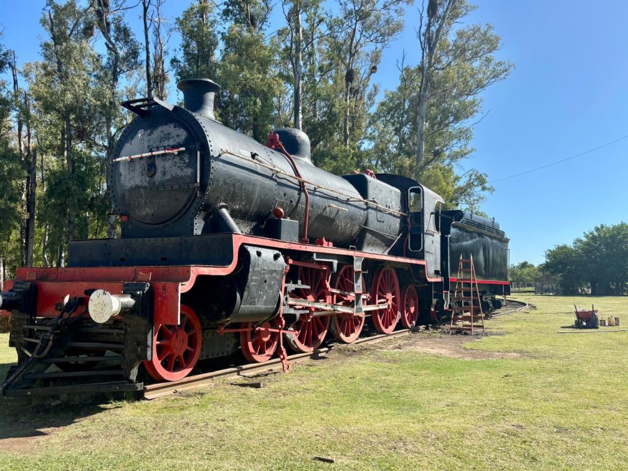 El trabajo está a cargo de personal municipal, dependiente de la Subsecretaría de Servicios Públicos y Ambiente.