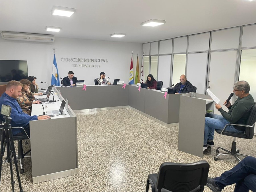 ANDREA OCHAT. Brindando su informe ante los ediles.