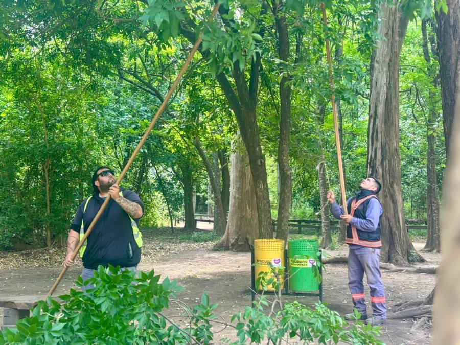 El Bosquecito Besaccia, espacio emblemático de la ciudad