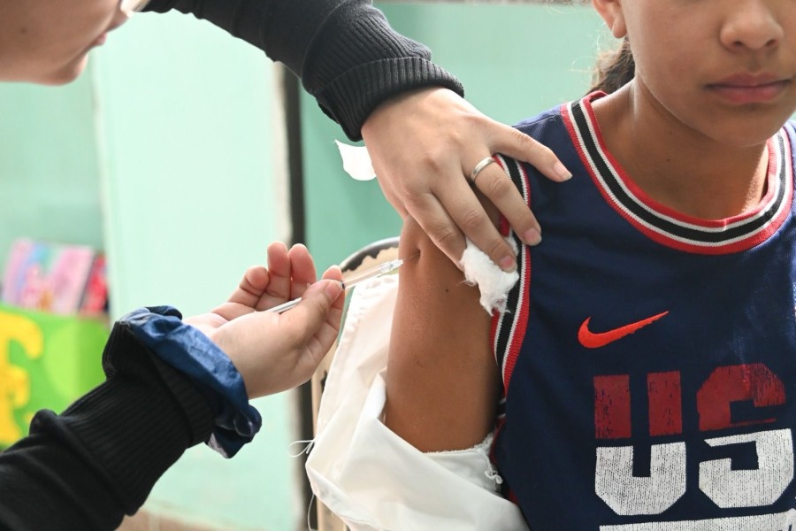 Hasta la semana 42 de 2025 se confirmaron 382 casos en distintas provincias.