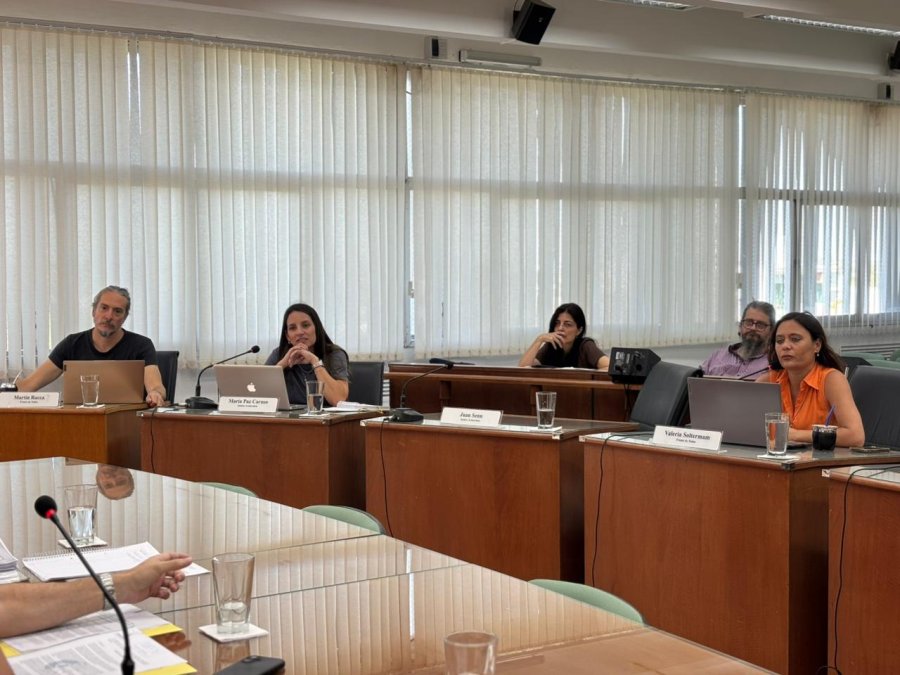 La concejal Valeria Soltermam representa al Concejo en la Comisi&oacute;n Municipal para la Promoci&oacute;n de la Cultura. (PRENSA CONCEJO)