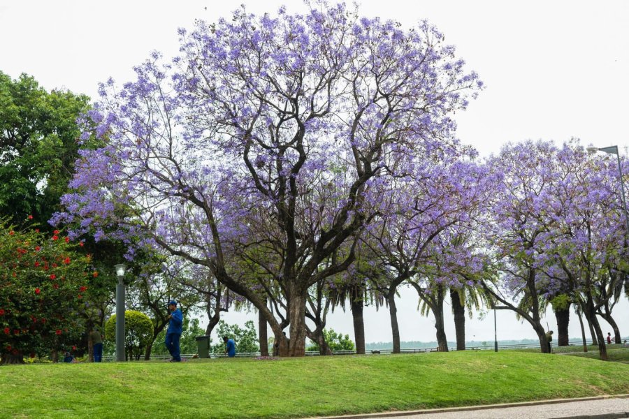 El proyecto con media sanción de Diputados promueve un trabajo articulado entre Provincia, municipios y la participación ciudadana.