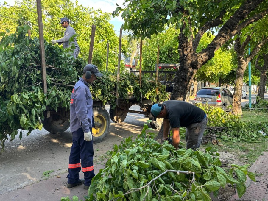 Estas acciones se ejecutan de manera programada y también en respuesta a reclamos.