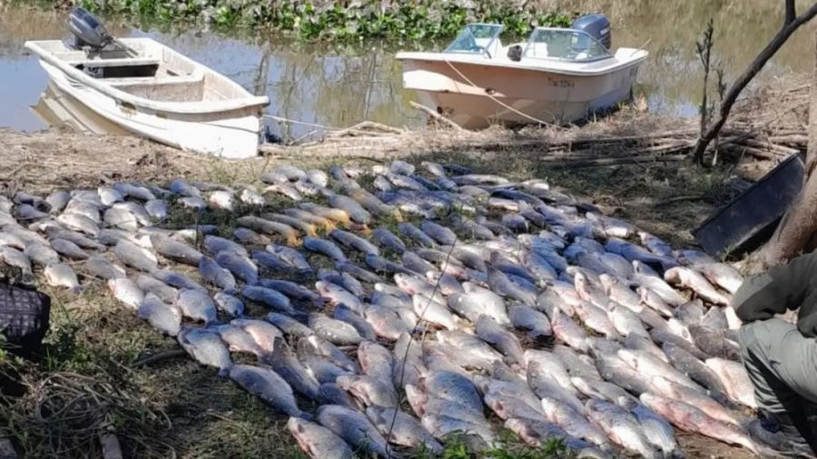 POLEMICA. Los pescadores de Santa Fe mostraron su preocupación por la prohibición de exportaciones.