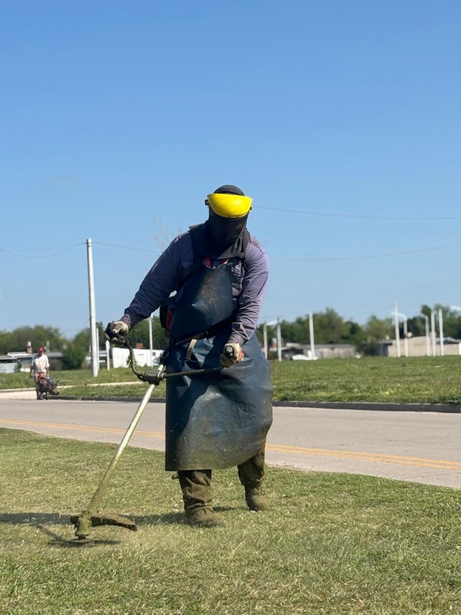 Las labores continuarán durante el resto de la semana.