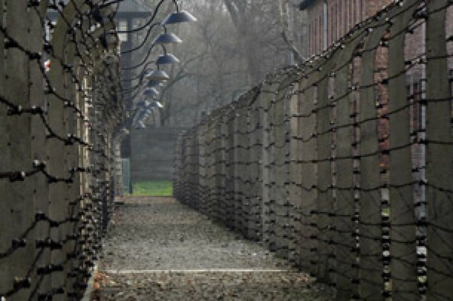 En la actualidad se observa el incremento de los movimientos racistas, fascistas y neonazis en toda Europa.