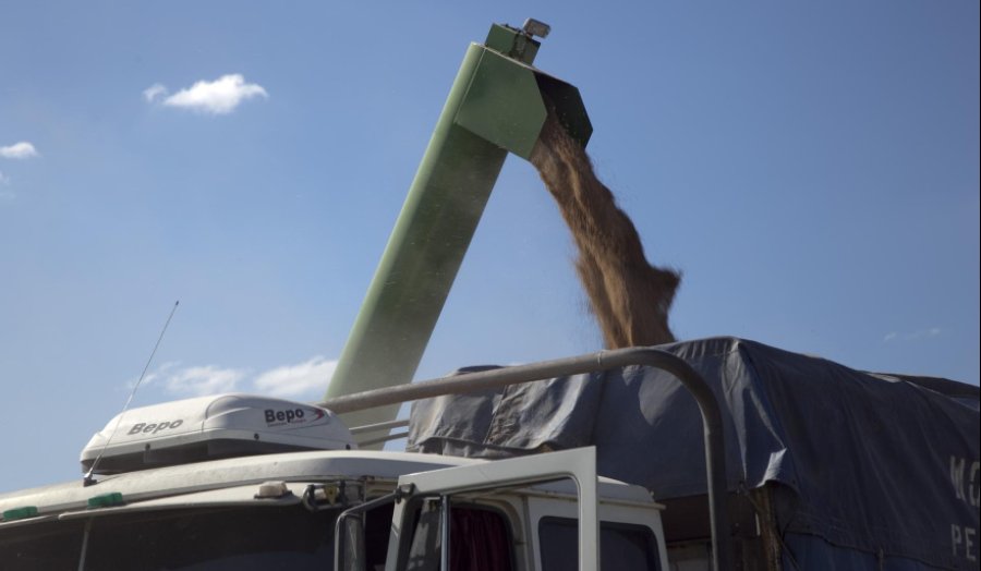 IMPULSO. El sector agroindustrial alcanzó ventas externas por 4.930 millones de dólares y 9,7 millones de toneladas durante septiembre de 2025.