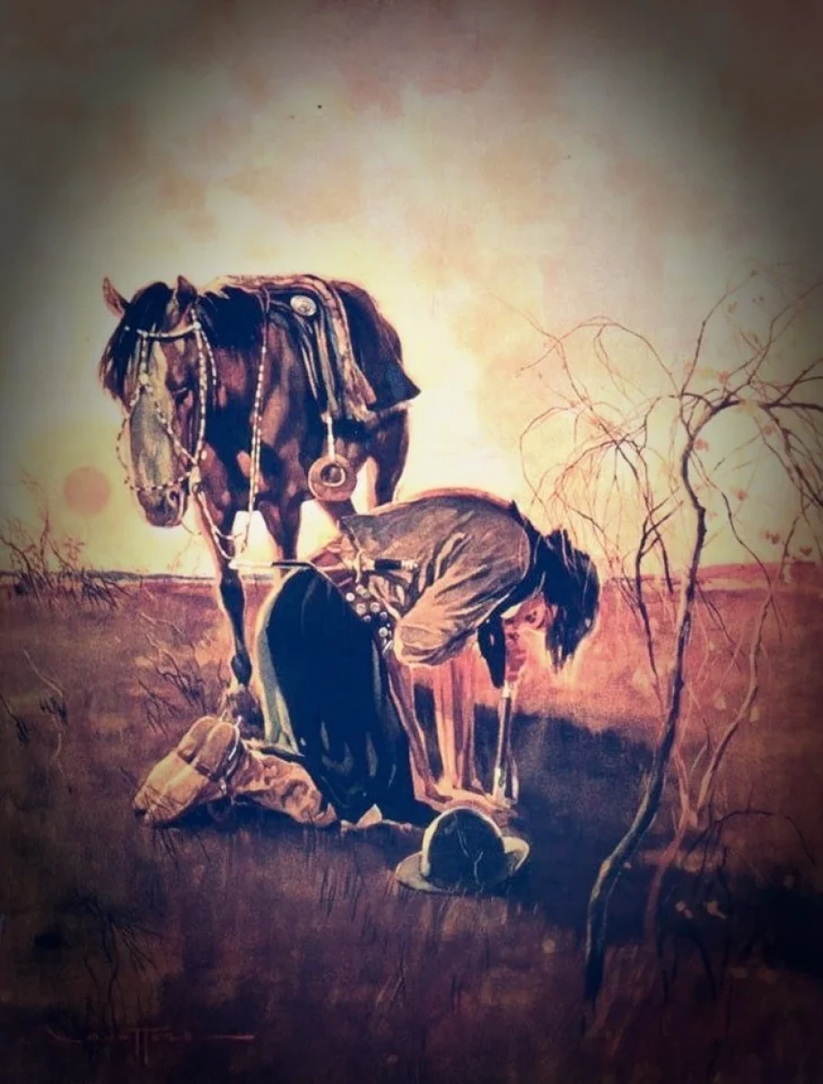 Martín Fierro. Dibujo.