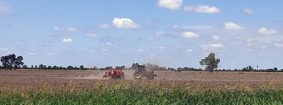 Lote con rastrojo de ma&iacute;z tard&iacute;o en pleno proceso de siembra de soja temprana (de primera), en el oeste del departamento Castellanos. (FOTO SEA/BCSF)