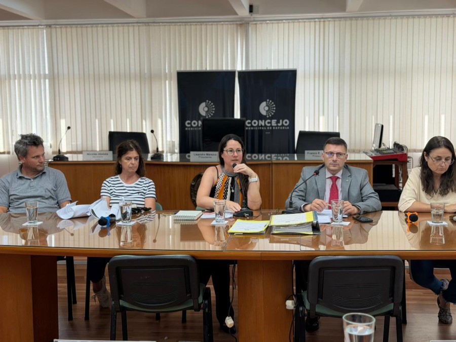 En el encuentro se evaluó el proyecto y se realizaron diversas consultas.