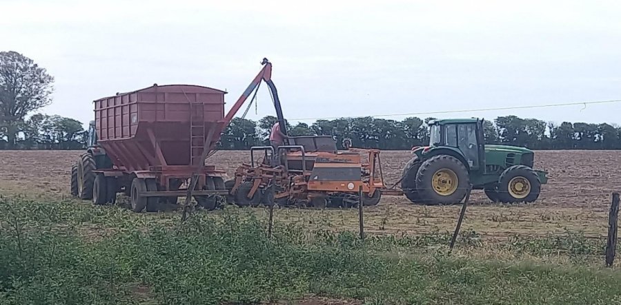 CAMPAÑA. Lote con rastrojo de maíz temprano en pleno proceso de siembra de soja temprana (de primera) en el centro del departamento Castellanos.