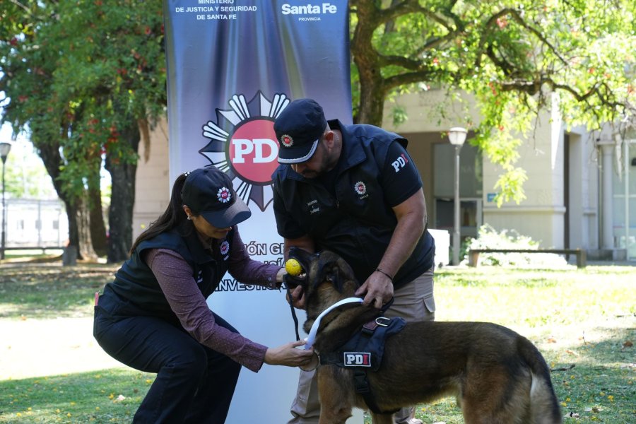 Destacada participación de perros detectores de estupefacientes.