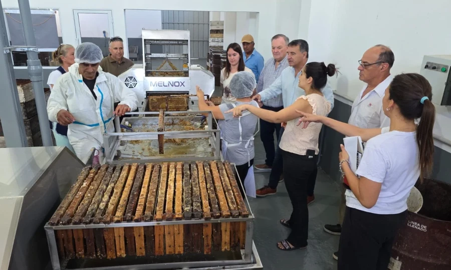 Los legisladores durante la recorrida por la planta.