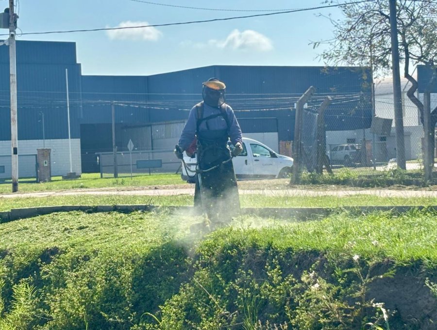 TRABAJOS. Incluyen desmalezado, limpieza general, poda, despeje y retiro de residuos, intervenciones en distintos sectores de la ciudad.