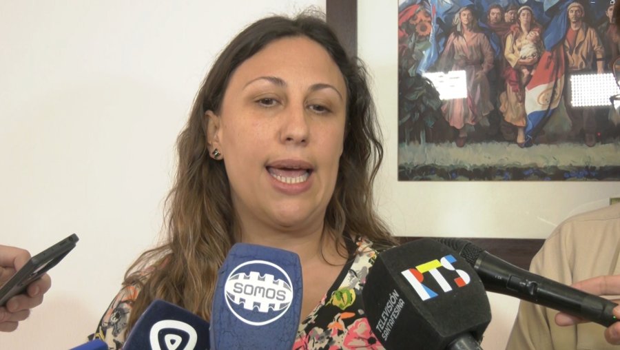 Varinia Drisun, presidenta de la Comisi&oacute;n de Salud de la C&aacute;mara de Diputados de Santa Fe. (FOTO CAPTURA VIDEO)