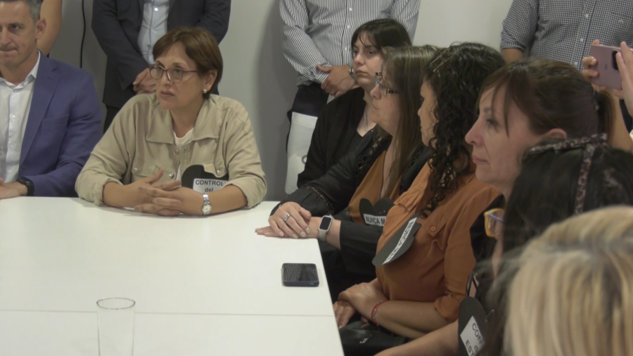 Ivana Esteban junto al resto de los familiares de v&iacute;ctimas del fentanilo contaminado durante la reuni&oacute;n con diputados santafesinos. (FOTO CAPTURA VIDEO)