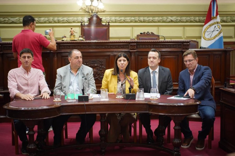 La primera audiencia pública se realizó este miércoles en la Cámara de Diputados en la ciudad capital.