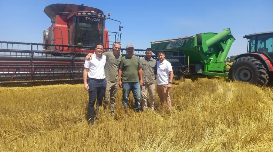 ESPIGAS DORADAS. Productores junto a técnicos de la Cooperativa Lehmann en un campo de trigo y los equipos de trilla.