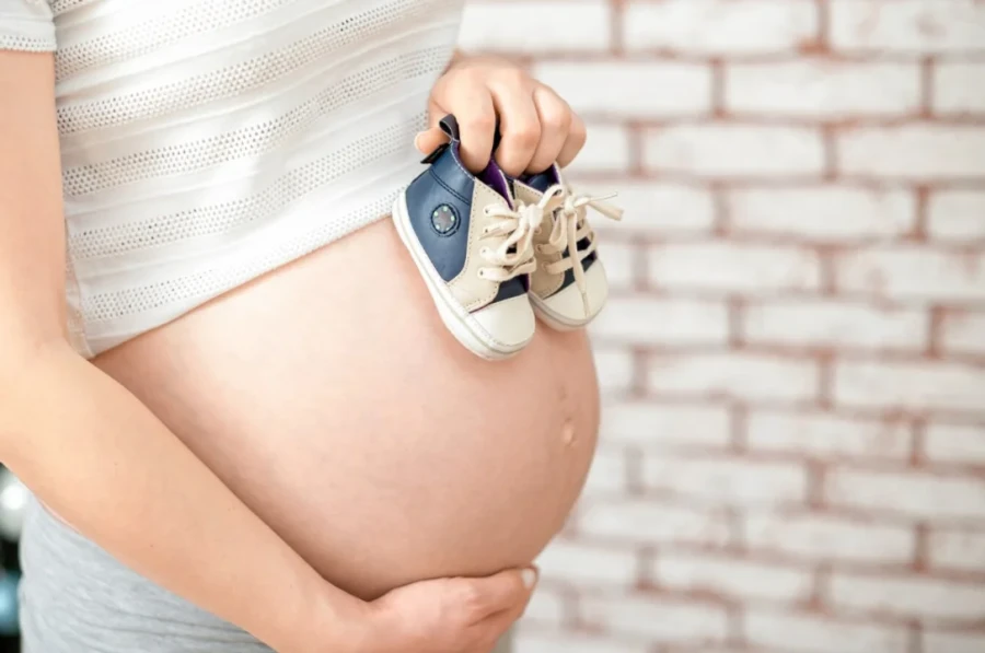 ANSES - Plan 1000 días para la Asignación por Embarazo.