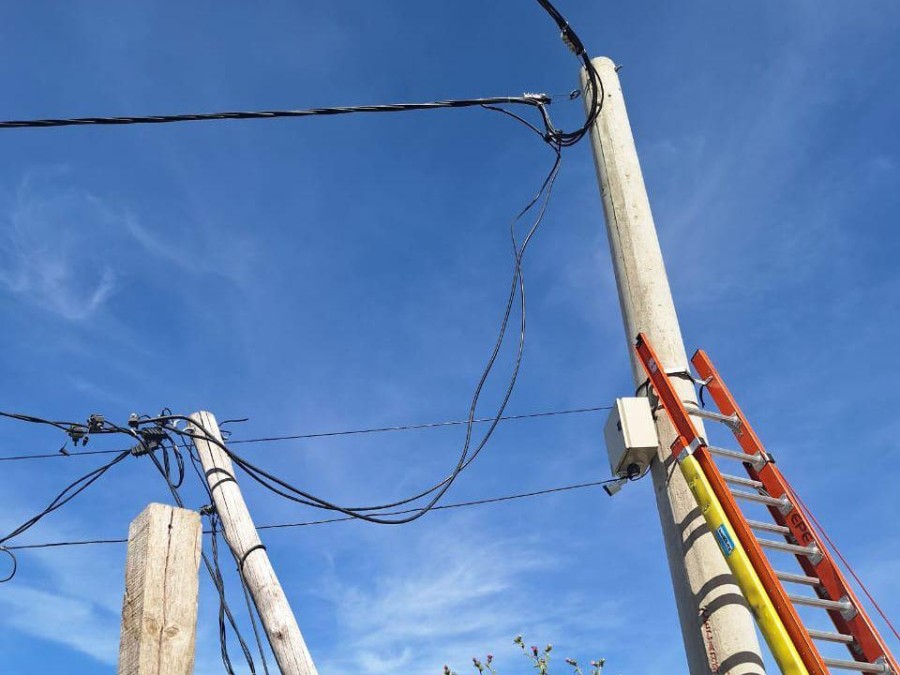 Los operativos de inspección alcanzaron un total de 81.962 controles en lo que va del año.