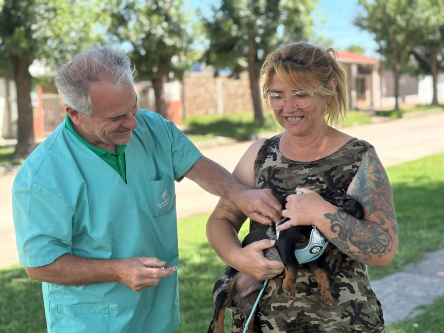 Prosiguen las tareas de vacunación.