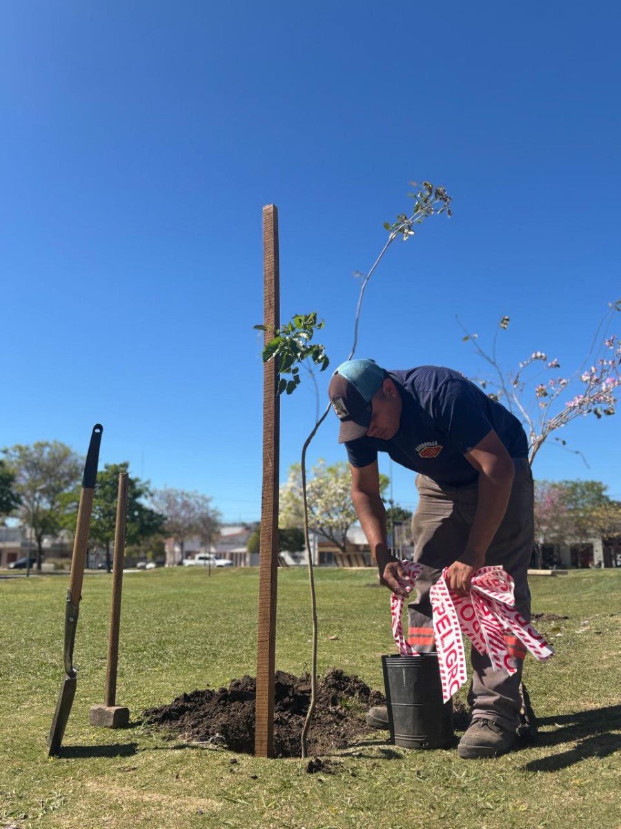 Este proceso forma parte del esquema anual de trabajo desarrollado por el área de Verde Urbano.