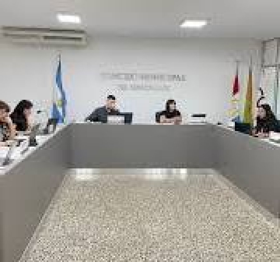 Los ediles en una de sus sesiones.