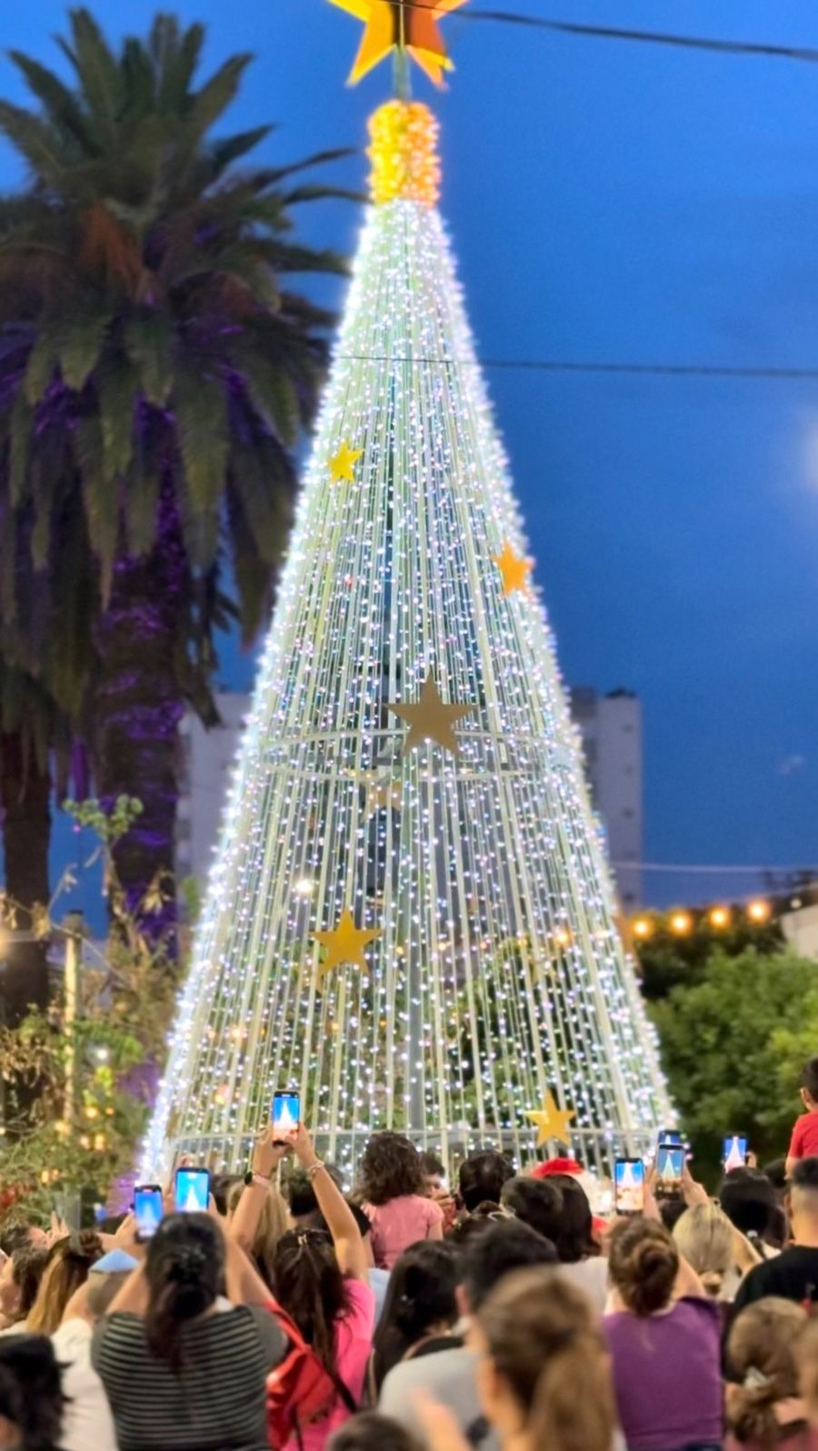 LUCES ENCENDIDAS. La actividad, que cada año convoca a numerosas familias, volvió a llenar de color y alegría el comienzo de la temporada de fiestas en la ciudad.
