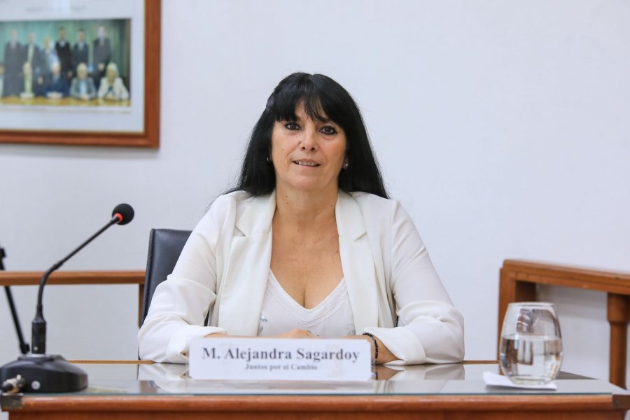 La concejal oficialista, Alejandra Sagardoy, repas&oacute; su labor legislativa en estos cuatro a&ntilde;os. (FOTO PRENSA CONCEJO)