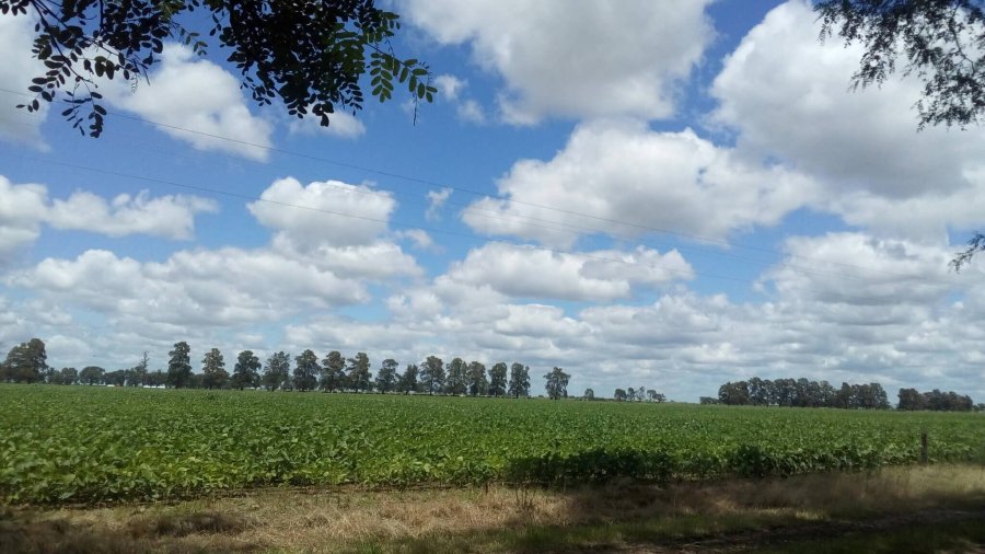 La presión impositiva que enfrenta el campo continúa siendo “asfixiante” en todos los niveles, señaló la Sociedad Rural de Rafaela.