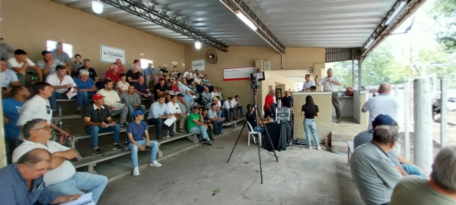 ¿QUIÉN DA MÁS? Una importante cantidad de productores participaron del remate de hacienda de calidad en la Feria de Emilia.