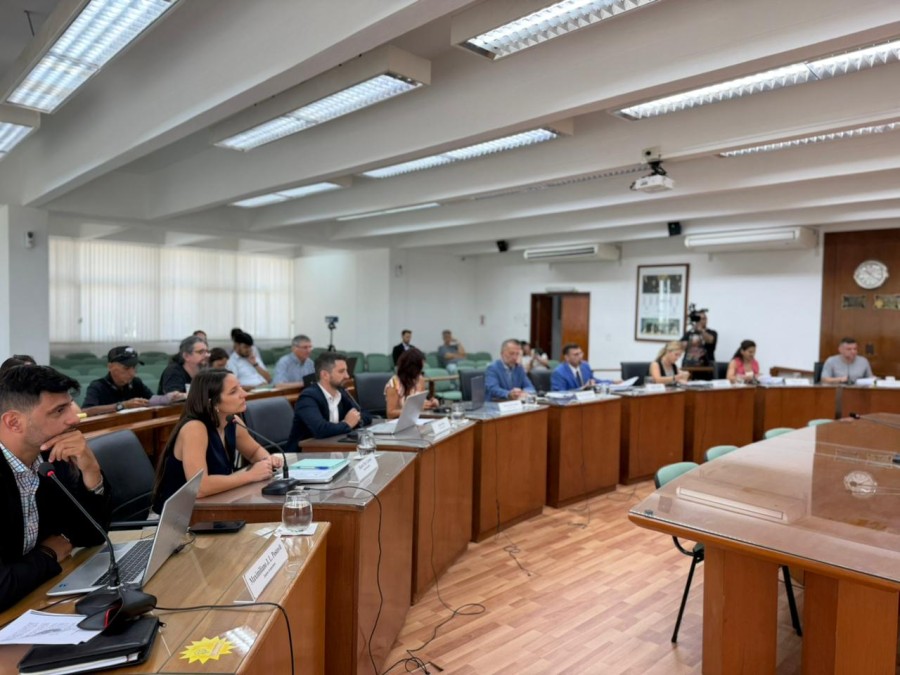 Maximiliano Postovit y Paz Caruso cuestionaron al Ejecutivo por no convocar a reuniones del Foro de Seguridad. (FOTO PRENSA CONCEJO)