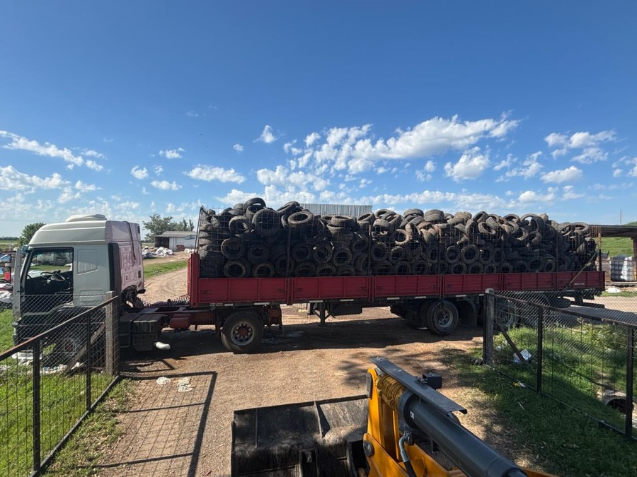 Este servicio se desarrolla sin costo para el Municipio.