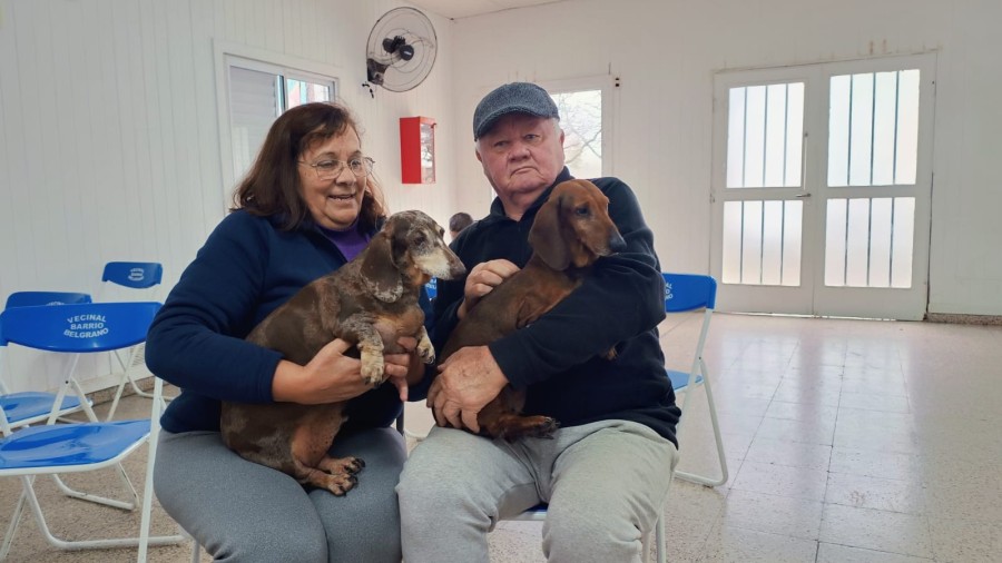 No es necesario solicitar turno, es por orden de llegada desde las 7:30.