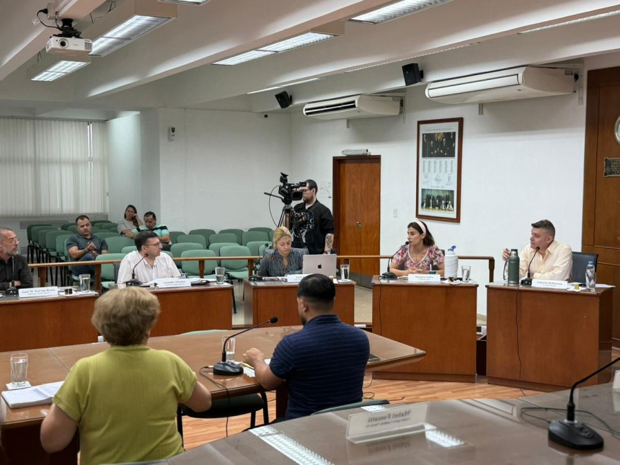 El Concejo est&aacute; dividido ante el proyecto para reducir las dietas que perciben los diez ediles de la ciudad.