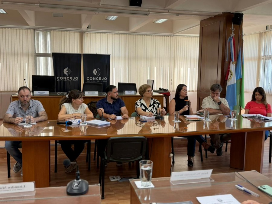 Los concejales realizaron diferentes consultas vinculadas a este t&oacute;pico que en las pr&oacute;ximas semanas se le otorgar&aacute; tratamiento legislativo.