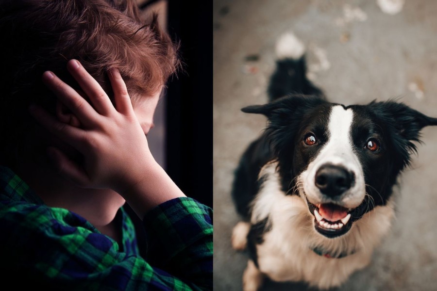 Se invita a los vecinos a celebrar con mayor conciencia, m&aacute;s luces y sin ruido.