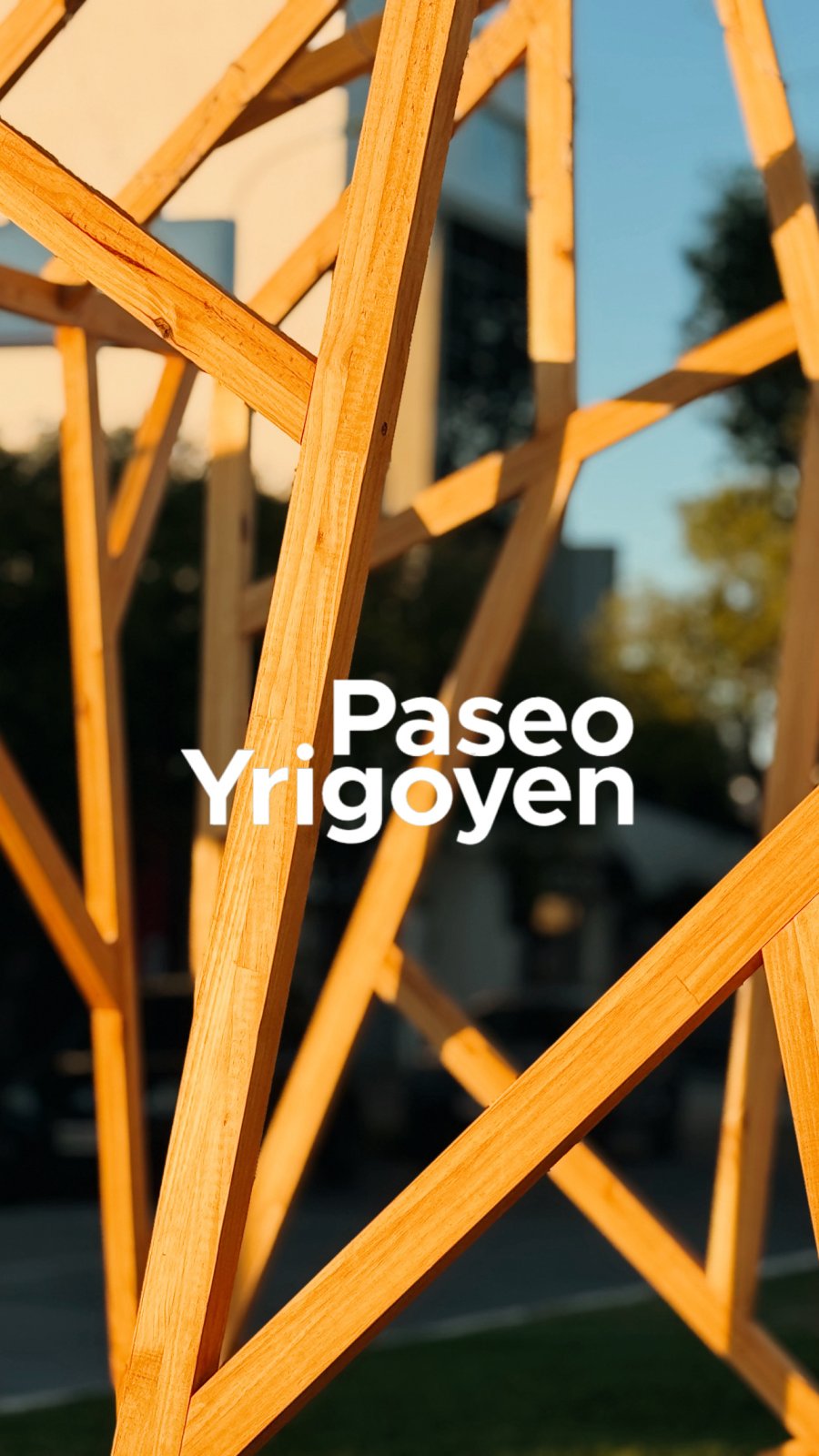 Los comercios vinculados a Paseo Yrigoyen apostaron fuerte por una deco distinta para esta Navidad.